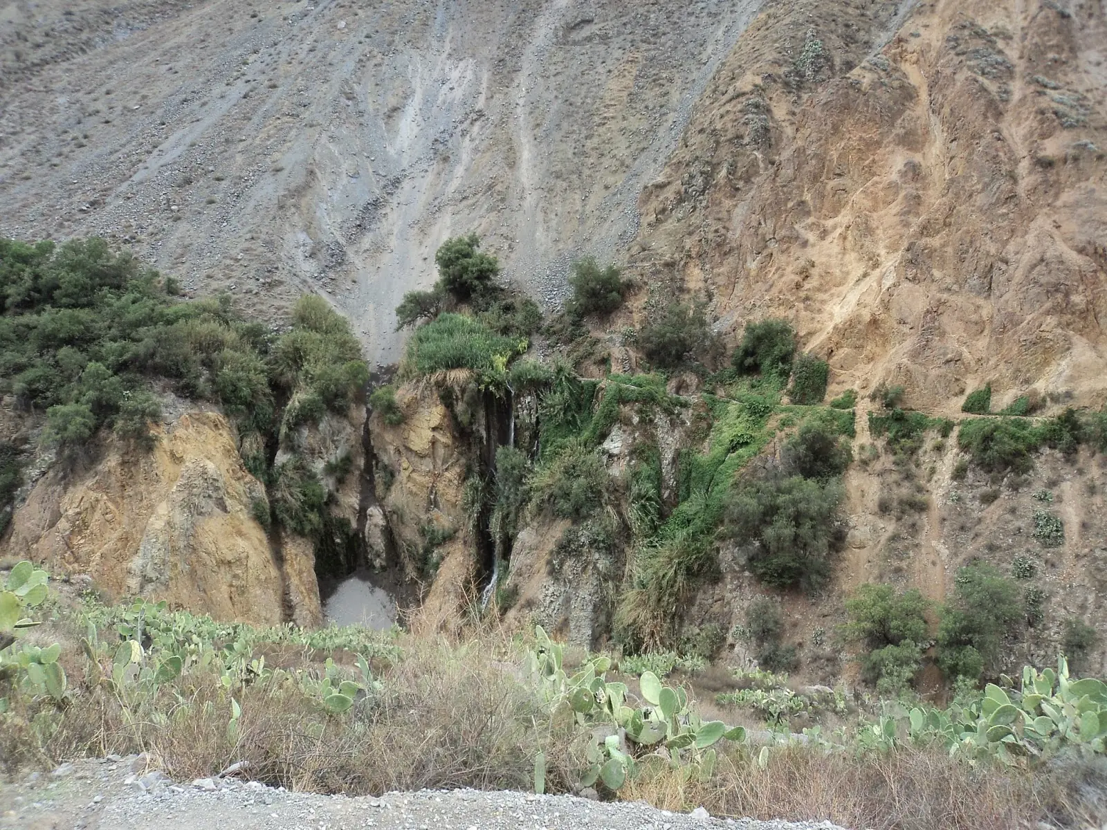 Treking en el Cañon de colca, 2 dias 1 noche.