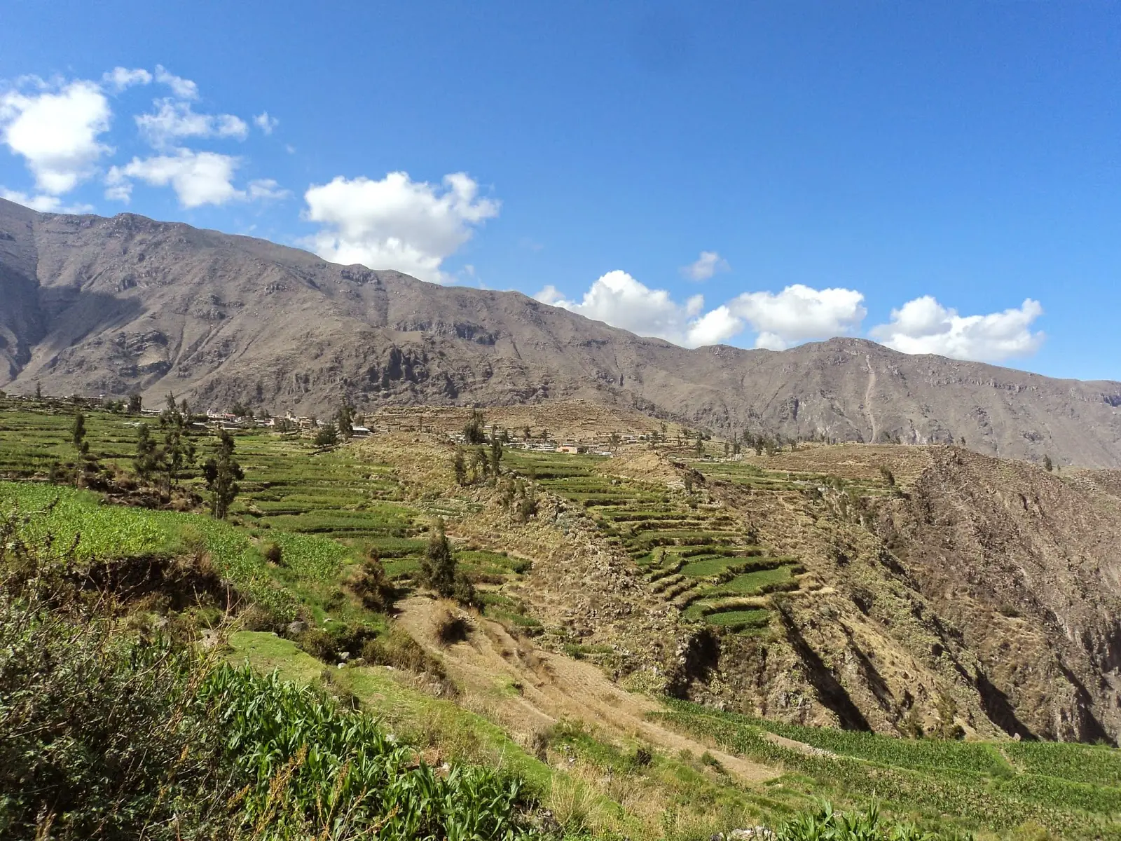 trekking canon de colca