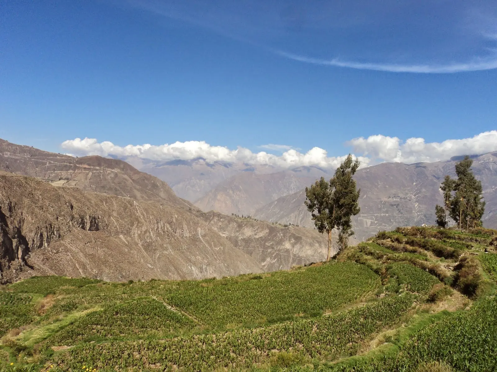 canon de colca arequipa