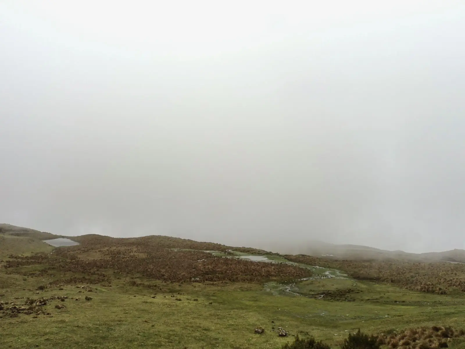 como llegar aMachu Picchu