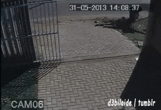 Gifs