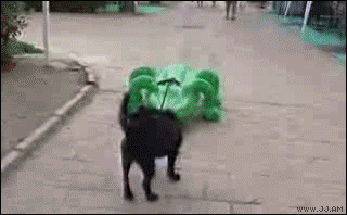 Queres reirte un rato? Pasá maquina