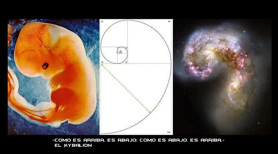 La oscuridad de tu interior
