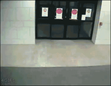 Gifs graciosos + mi agregado Vers. 75