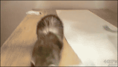 Gifs graciosos + mi agregado Vers. 75