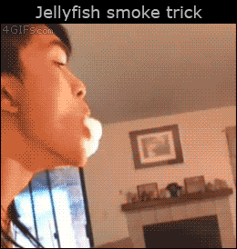 Gifs