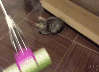 Gifs graciosos + mi agregado Vers. 75
