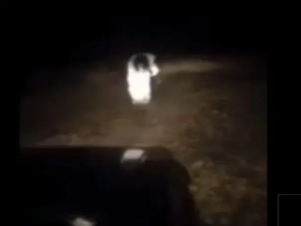 Identifican a la llorona del Dakar