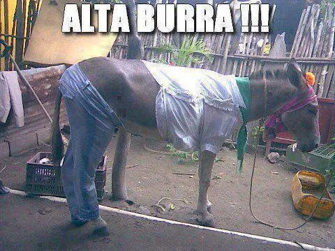 MeGa 22...HuMor