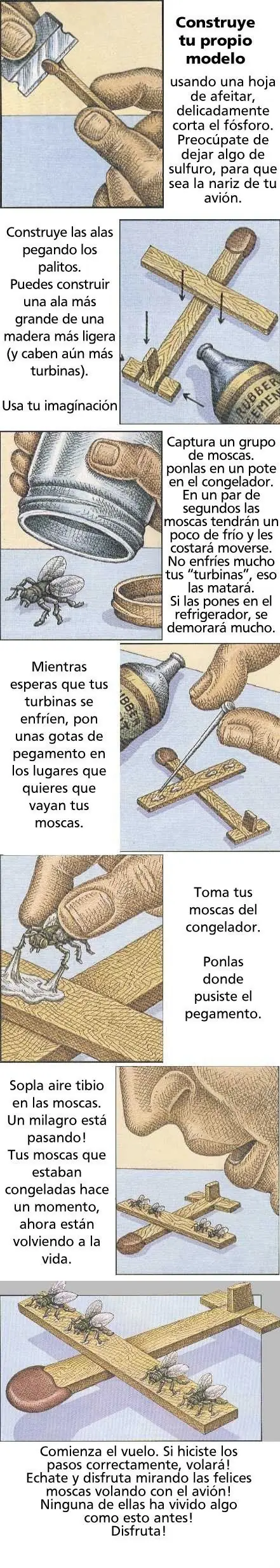 curiososo