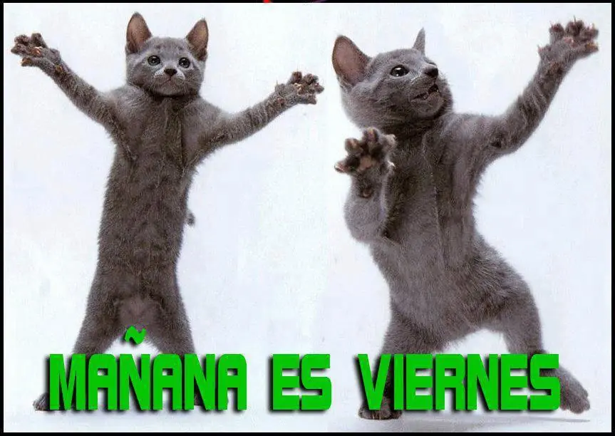 Muchas Imágenes para Reír