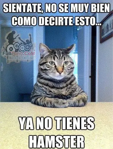 humor
