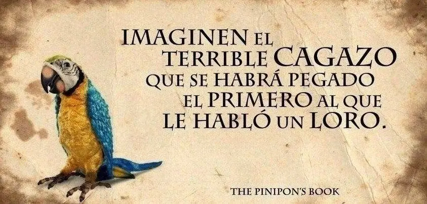 humor