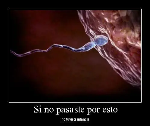 divertido