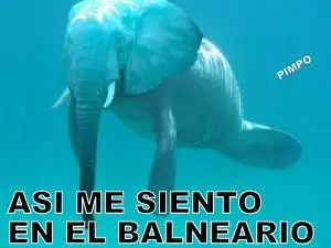 humor grafico