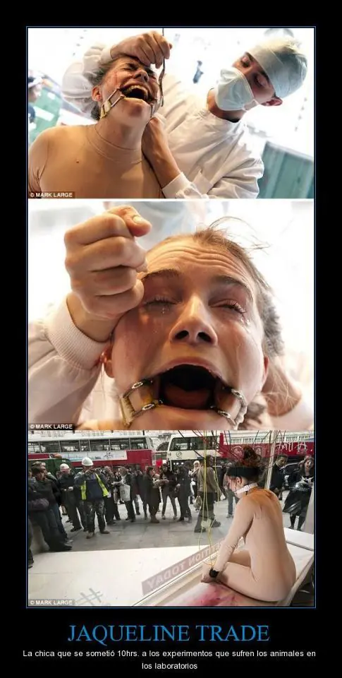 humor