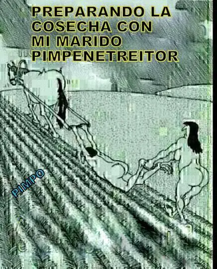 pensamientos