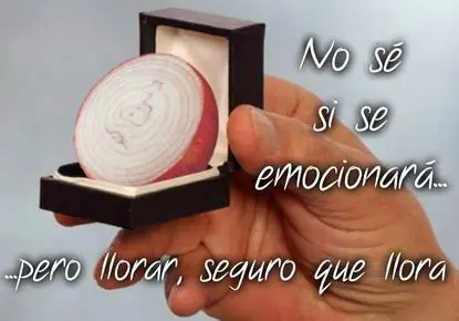 gifs graciosos