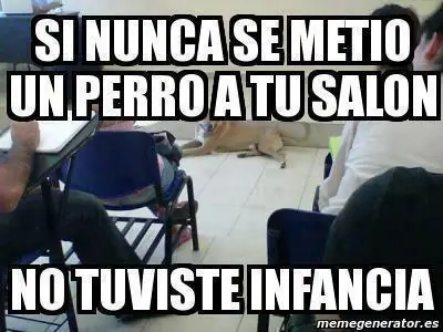 cuack17