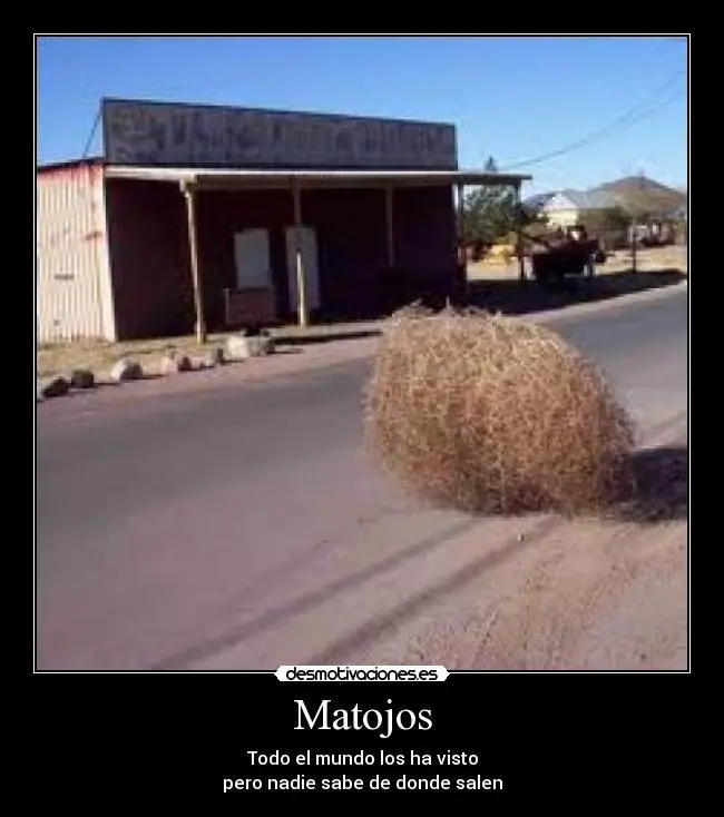 gifs graciosos
