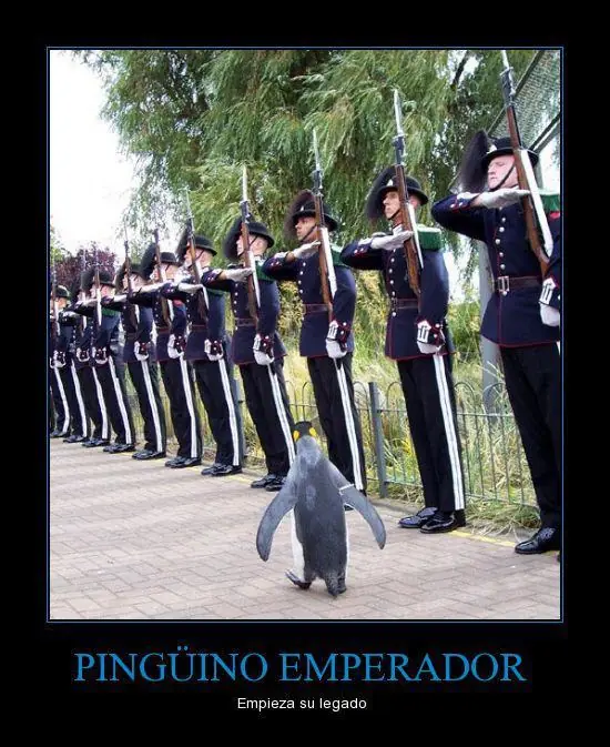 humor