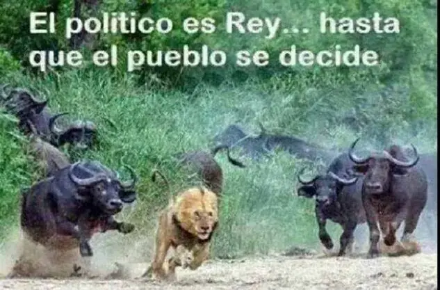 humor