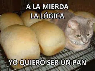divertido