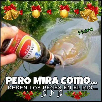 humor grafico