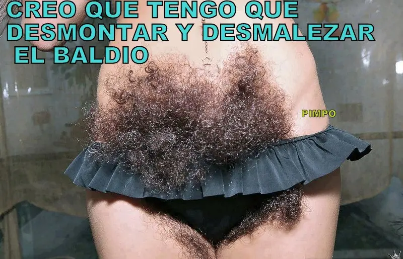 gifs graciosos