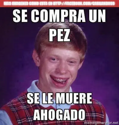 cuack17