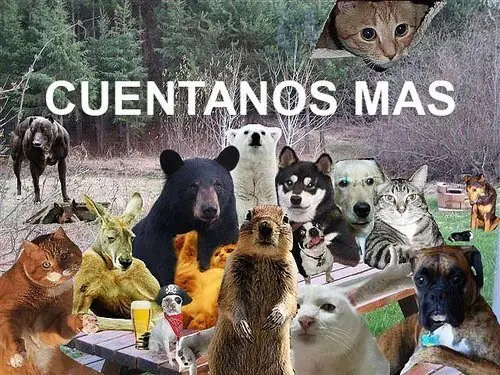 risas
