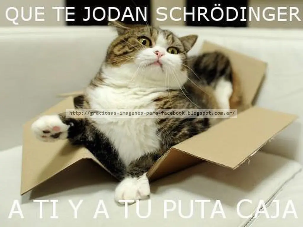imagenes graciosas