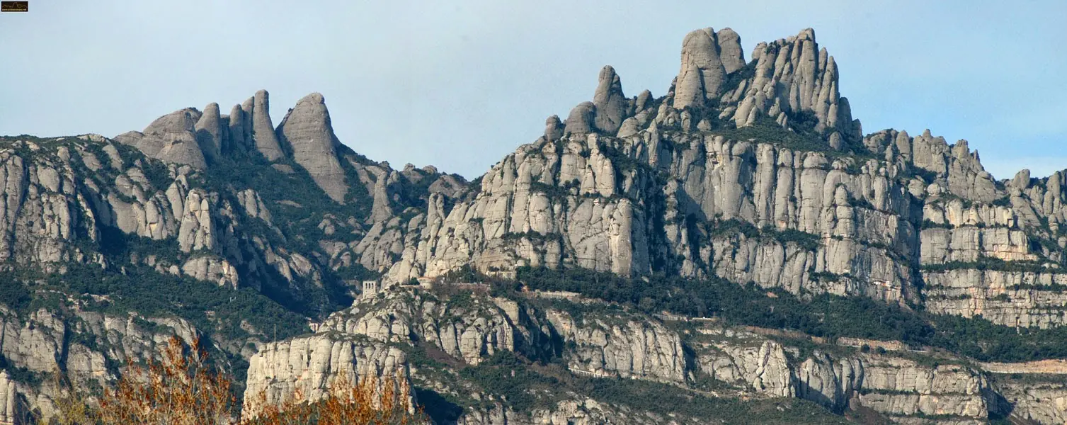 montana montserrat