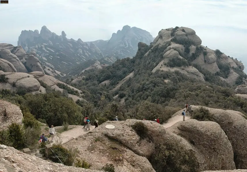 desapariciones en montserrat