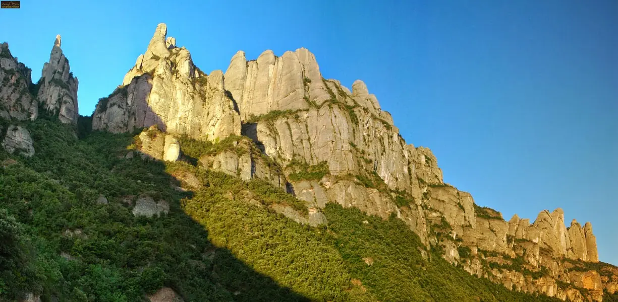 montana montserrat