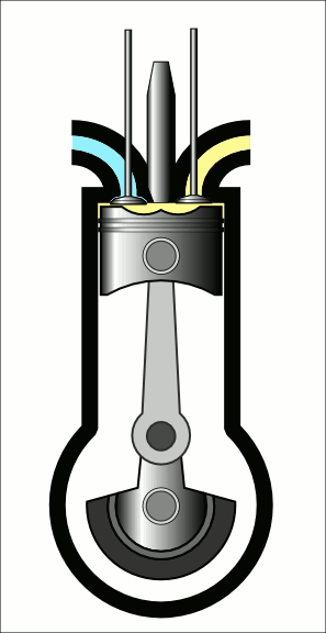 ciclos