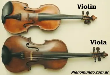Violín