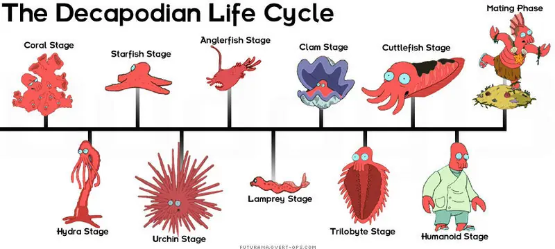Zoidberg, el mas groso de Futurama!