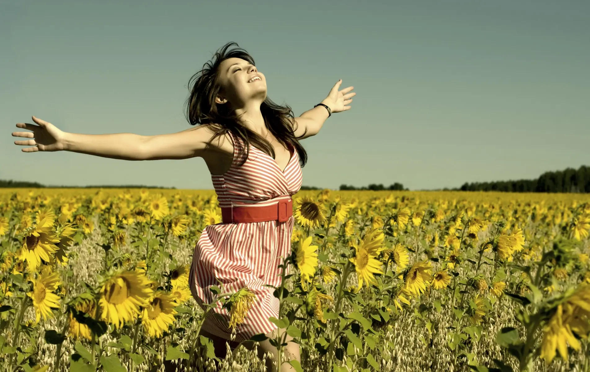 como alcanzar la felicidad