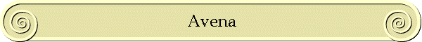 alternativa alternativa