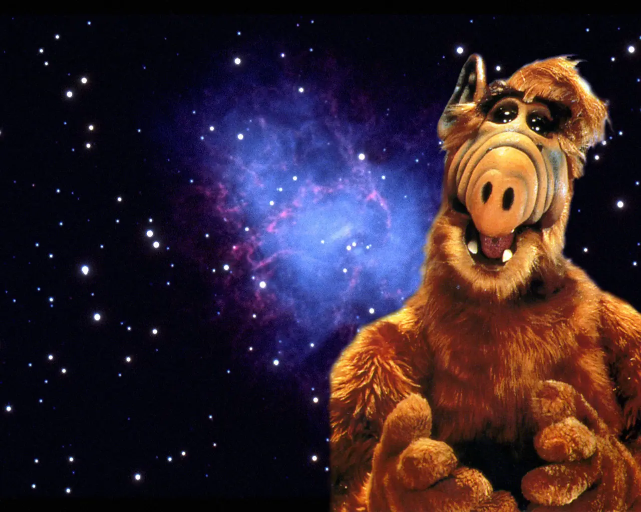 ¡ALF, yo te banco!