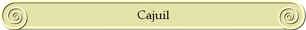 vegetal vegetal