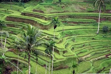 naturaleza