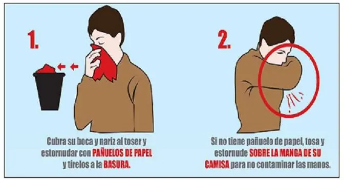 Curiosidad en el Estornudo...