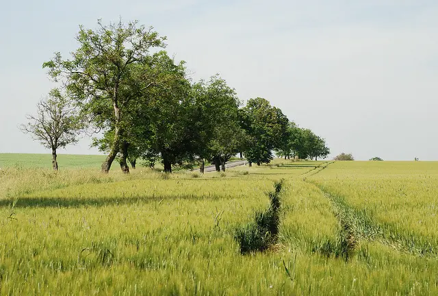 naturaleza