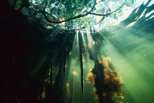 naturaleza