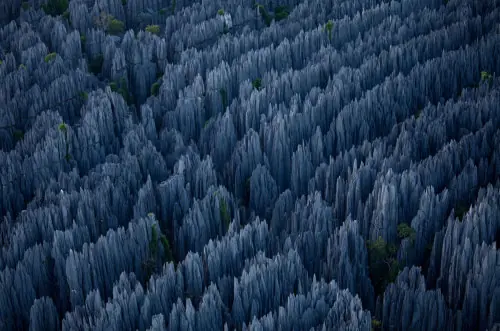 naturaleza