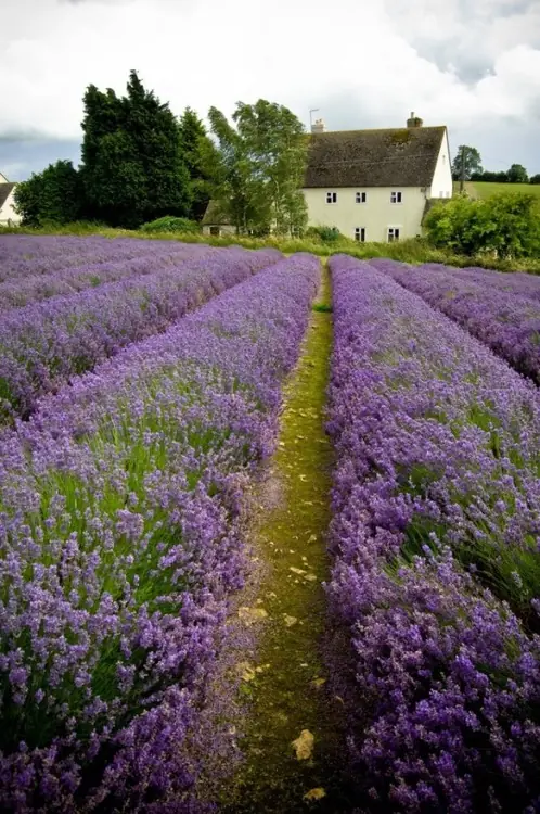 paisajes