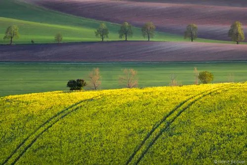 Los mejores paisajes naturales del mundo (Parte 2)