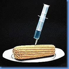 Semillas terminator creadas por Monsanto